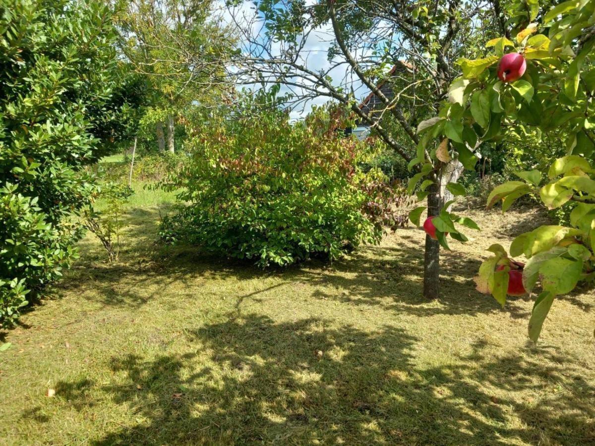 Le Jardin Secret Villa Saint-Omer  Dış mekan fotoğraf